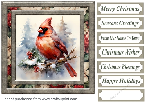 Christmas gift cardinal card front 2