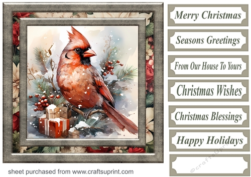 Christmas gift cardinal card front 3
