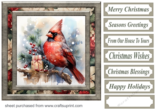 Christmas gift cardinal card front 4