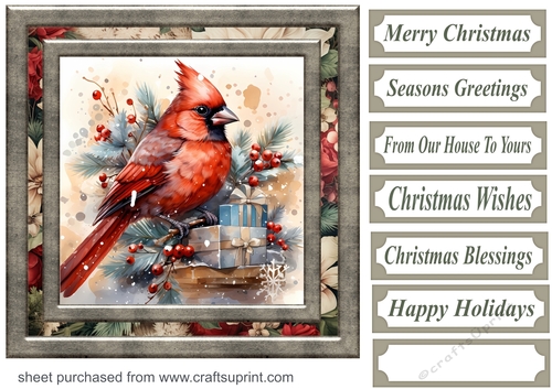 Christmas gift cardinal card front 5