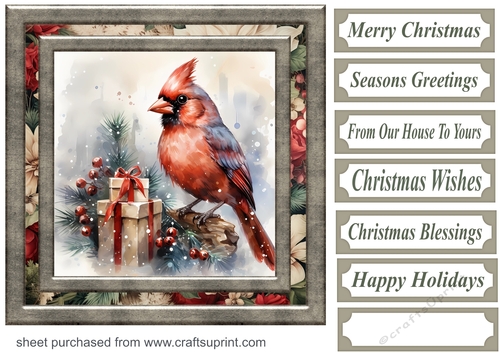 Christmas gift cardinal card front 6