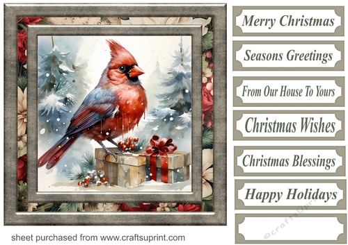 Christmas gift cardinal card front 7