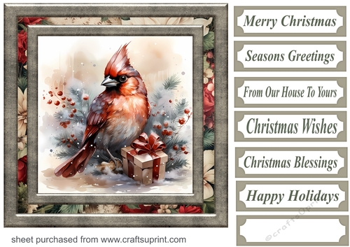Christmas gift cardinal card front 8