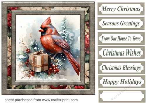 Christmas gift cardinal card front 9