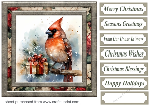 Christmas gift cardinal card front 10