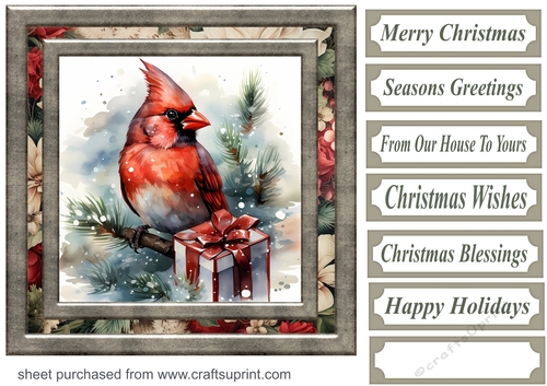 Christmas gift cardinal card front 11