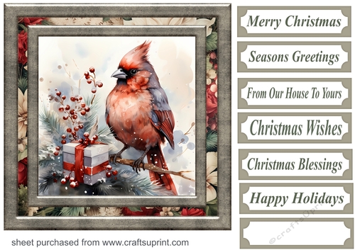 Christmas gift cardinal card front 12