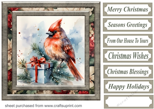 Christmas gift cardinal card front 13