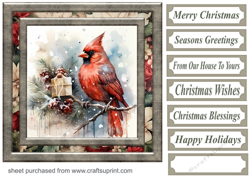 Christmas gift cardinal card front 14