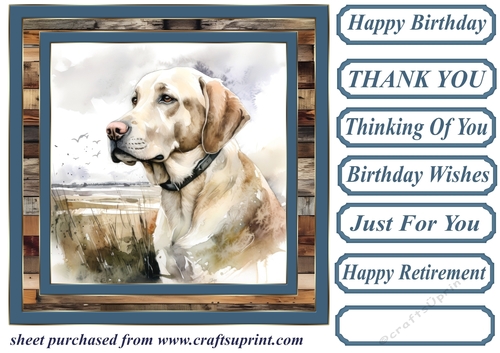 Coastal Labrador card front 1