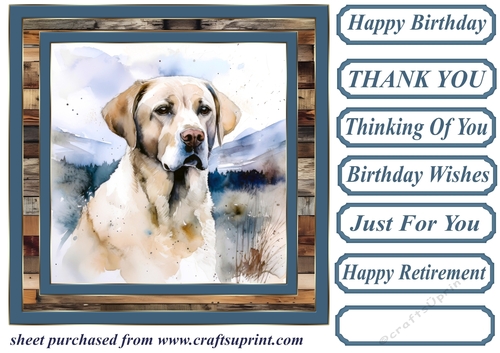 Coastal Labrador card front 6