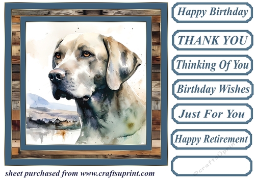 Coastal Labrador card front 9