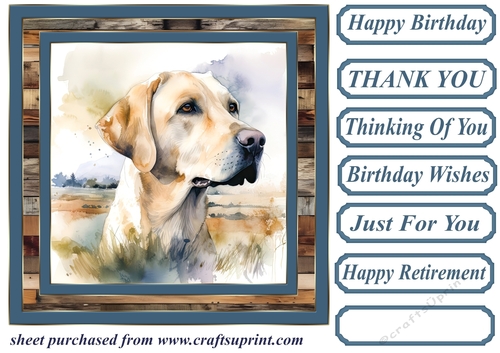 Coastal Labrador card front 11