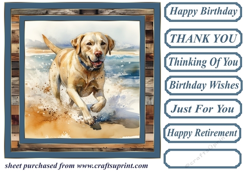 Coastal Labrador card front 17