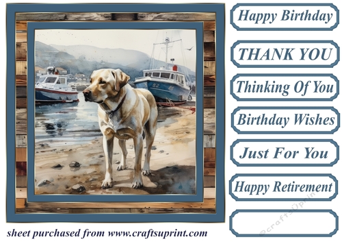 Coastal Labrador card front 21