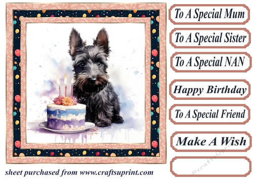 Framed Scottish terrier Birthday Card front 1