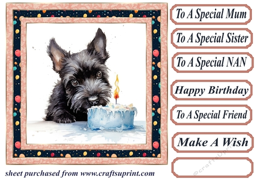 Framed Scottish terrier Birthday Card front 2
