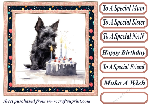 Framed Scottish terrier Birthday Card front 3
