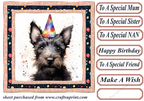 Framed Scottish terrier Birthday Card front 4