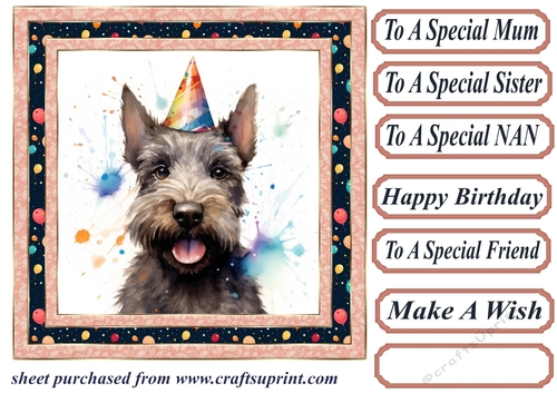Framed Scottish terrier Birthday Card front 5