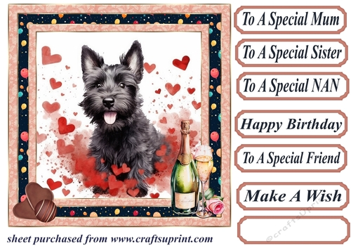 Framed Scottish terrier Birthday Card front 7