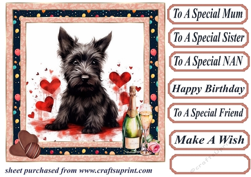 Framed Scottish terrier Birthday Card front 8