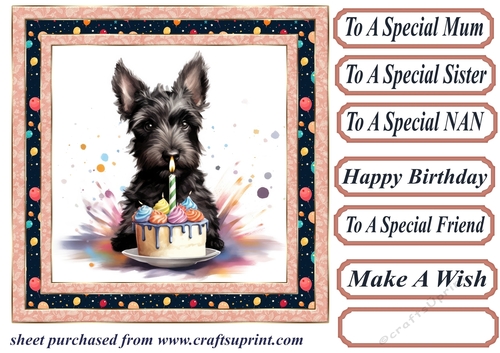 Framed Scottish terrier Birthday Card front 9