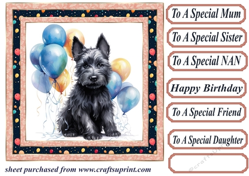 Framed Scottish terrier Birthday Card front 12