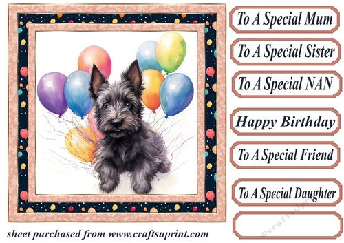 Framed Scottish terrier Birthday Card front 13