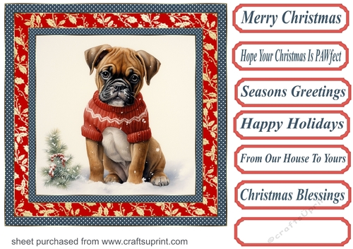 Christmas boxer card front 1