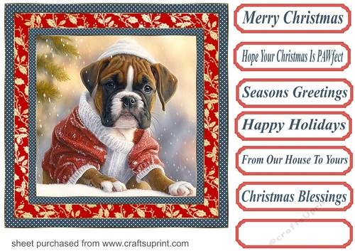 Christmas boxer card front 2