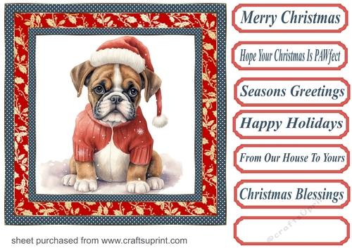 Christmas boxer card front 3