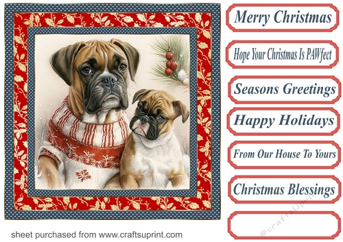Christmas boxer card front 4