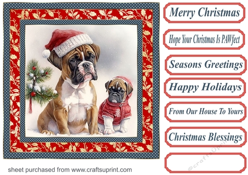 Christmas boxer card front 5