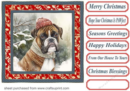 Christmas boxer card front 6