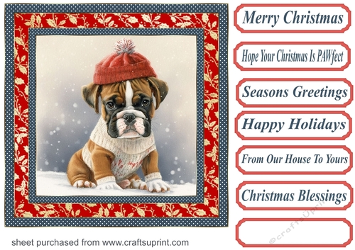 Christmas boxer card front 7