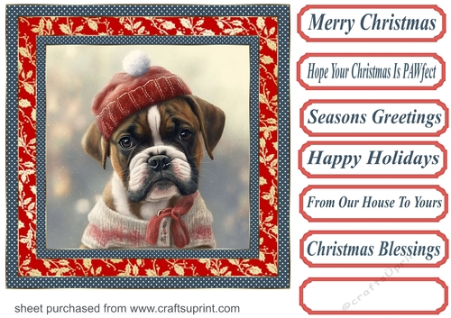 Christmas boxer card front 8