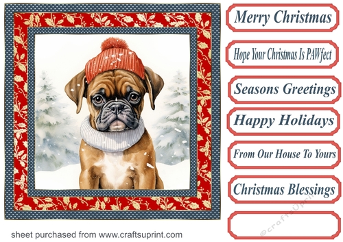Christmas boxer card front 9