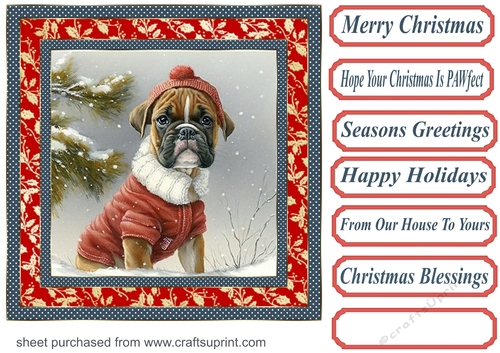 Christmas boxer card front 10