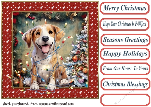 Christmas pooch in a tangle card front 7