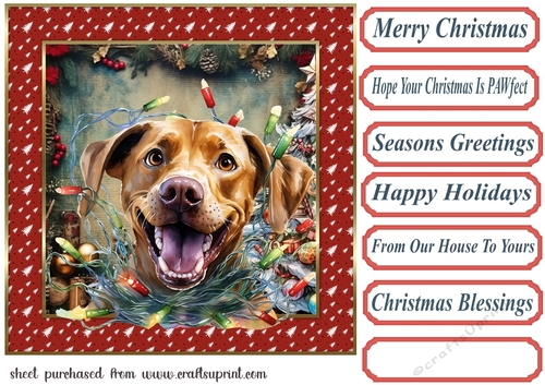 Christmas pooch in a tangle card front 8