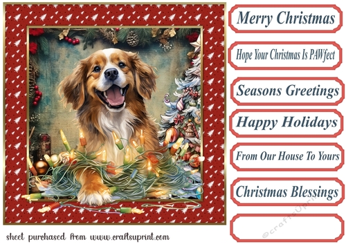 Christmas pooch in a tangle card front 9