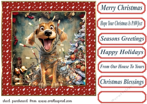 Christmas pooch in a tangle card front 11