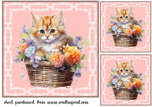 3 Floral cat in basket card front/toppers 3