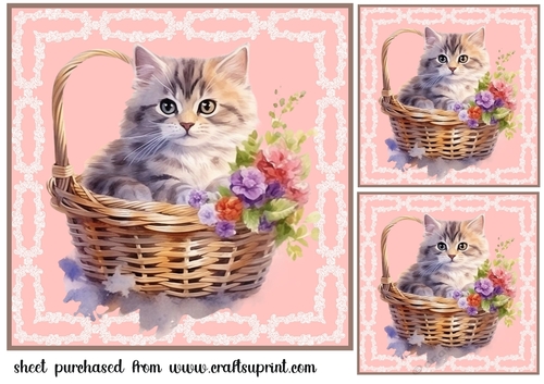 3 Floral cat in basket card front/toppers 5