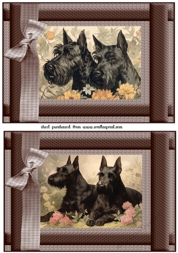 2 Vintage floral Scottish terrier card fronts 6