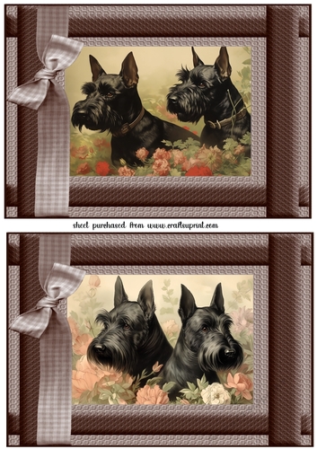 2 Vintage floral Scottish terrier card fronts 7
