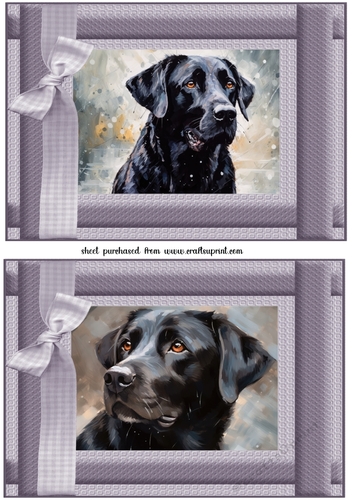 2 Framed black Labrador card fronts 5