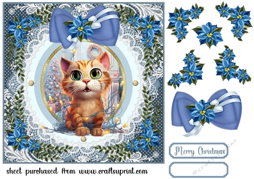 Kitty in a Christmas tangle card front 1