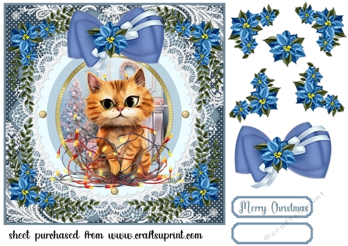 Kitty in a Christmas tangle card front 2